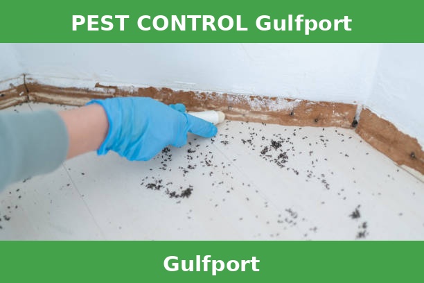 PEST CONTROL Gulfport